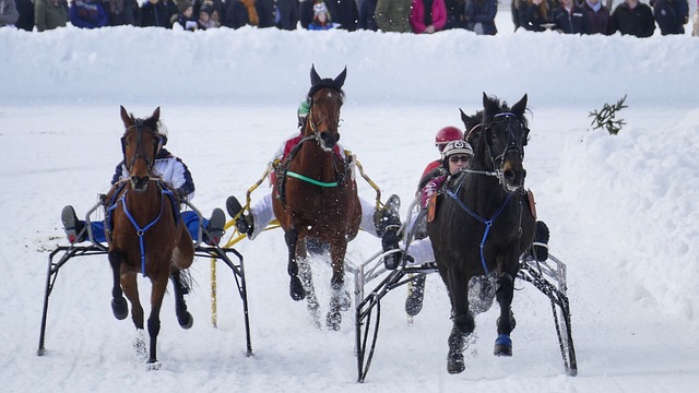 曼晚：曼联在卡灵顿基地修建围墙是为了保护隐私.